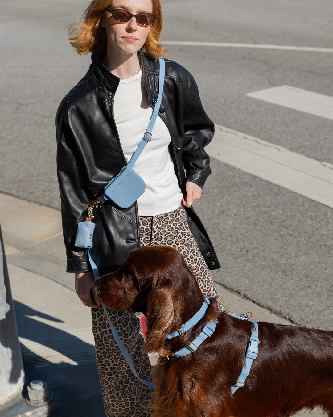 Malibu Blue 4-in-1 Convertible Hands Free Cloud Dog Leash