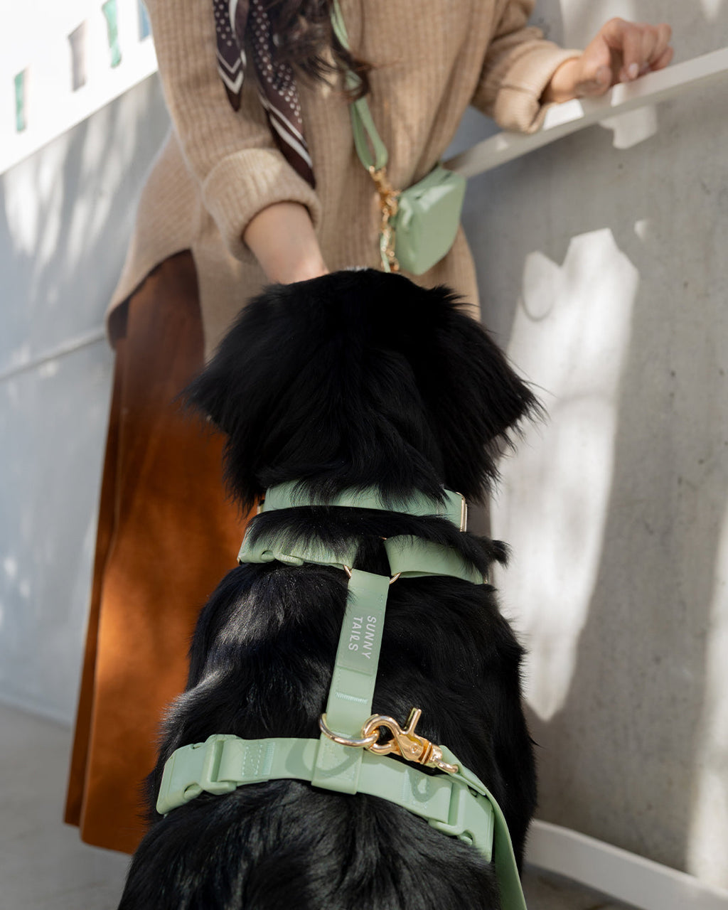 Pistachio Green Cloud Lite Dog Harness