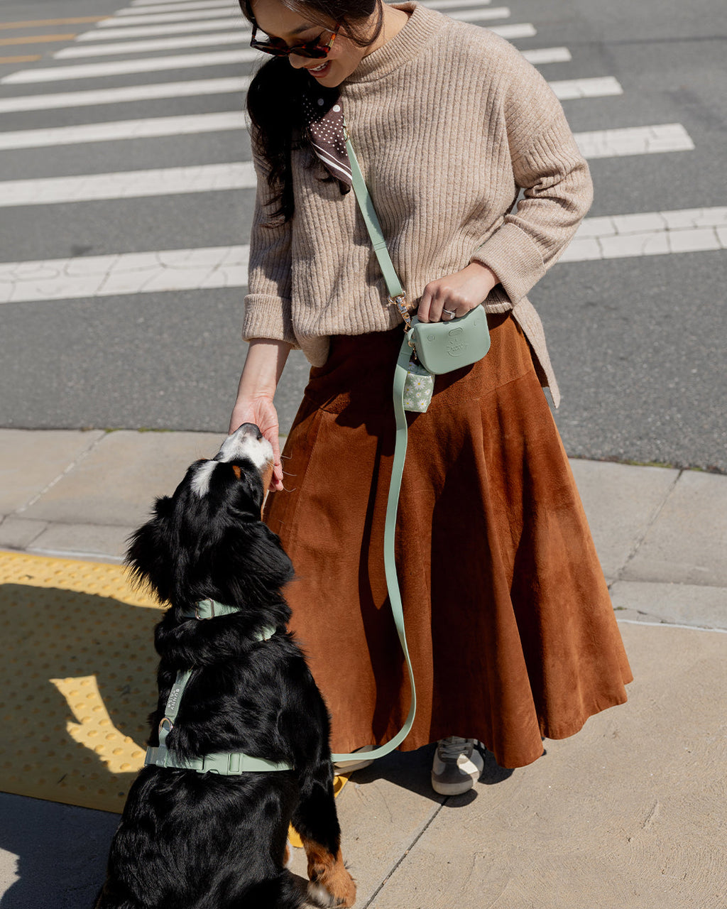 Pistachio Green 4-in-1 Convertible Hands Free Cloud Dog Leash
