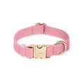 Perfect Pink Waterproof Dog Collar