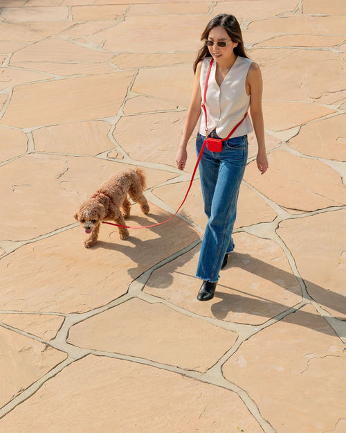 Cherry Red Cloud Lite Dog Harness