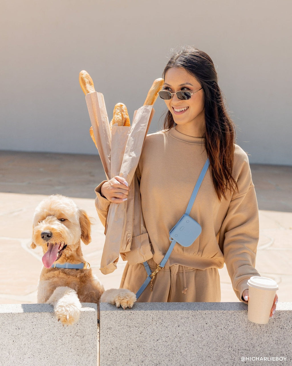 Malibu Blue 4-in-1 Convertible Hands Free Cloud Dog Leash