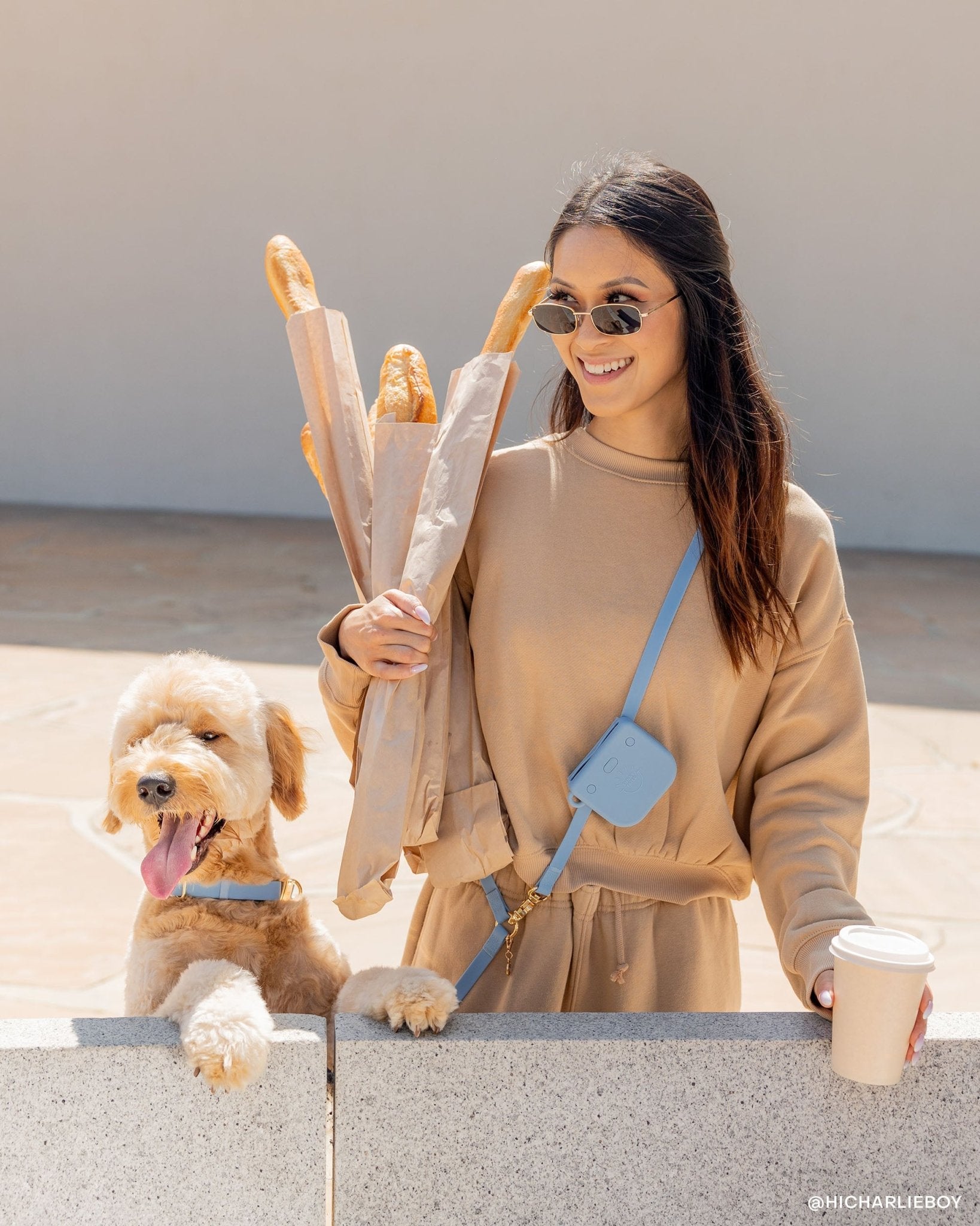 Malibu Blue 4-in-1 Convertible Hands Free Cloud Dog Leash