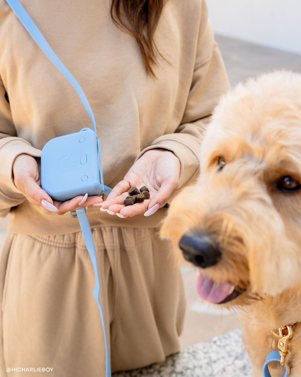 Malibu Blue 4-in-1 Convertible Hands Free Cloud Dog Leash