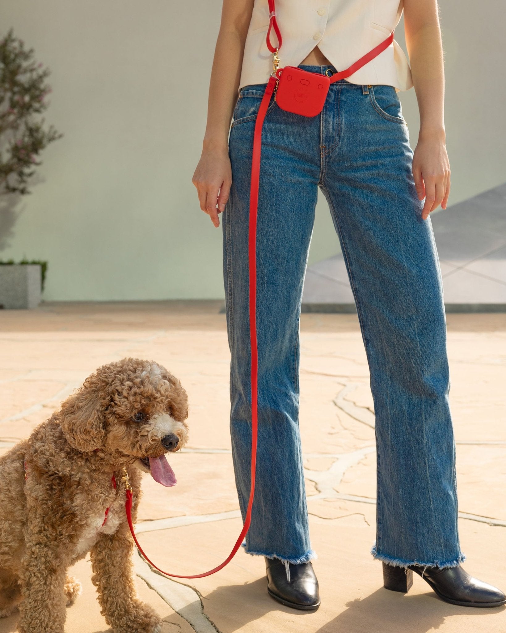 Cherry Red 4-in-1 Convertible Hands Free Cloud Dog Leash (Standard preorder ship by 6/19)