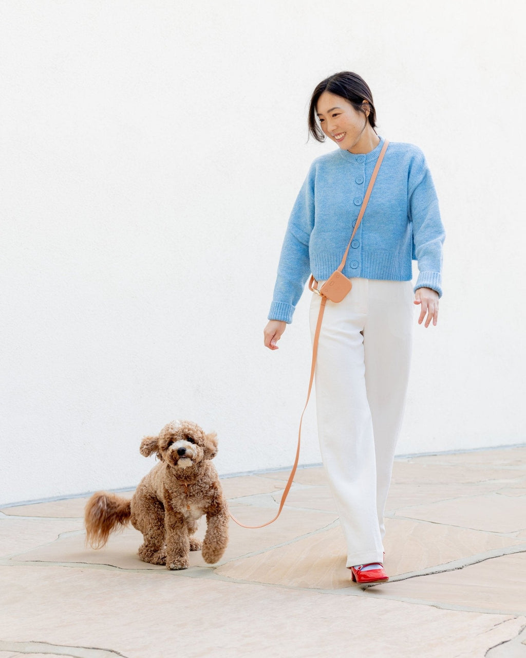 Chai Brown 4-in-1 Convertible Hands Free Cloud Dog Leash