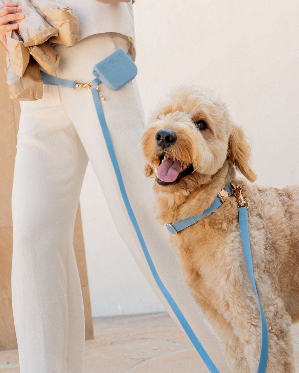 Malibu Blue Waterproof Dog Collar