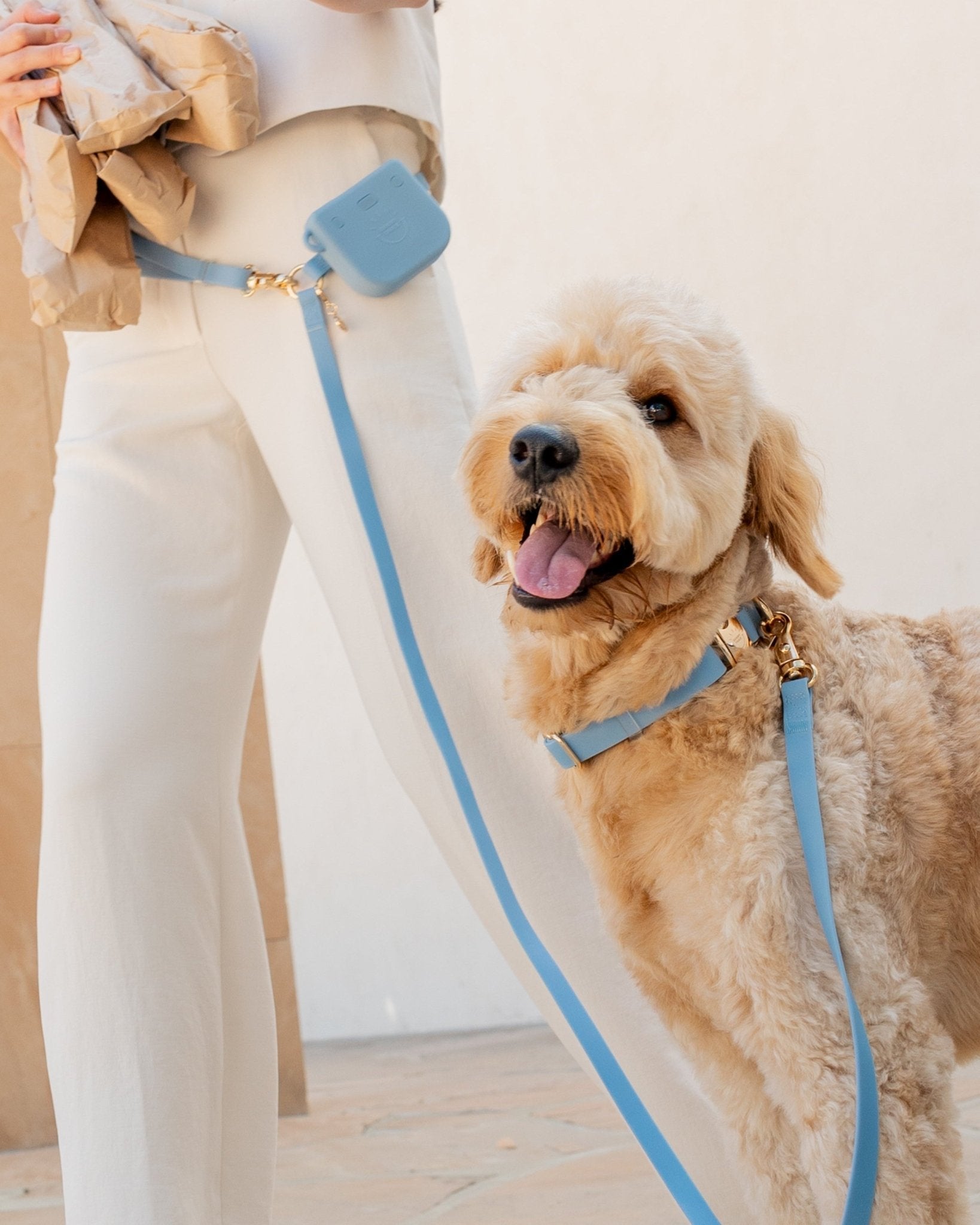 Malibu Blue Waterproof Dog Collar