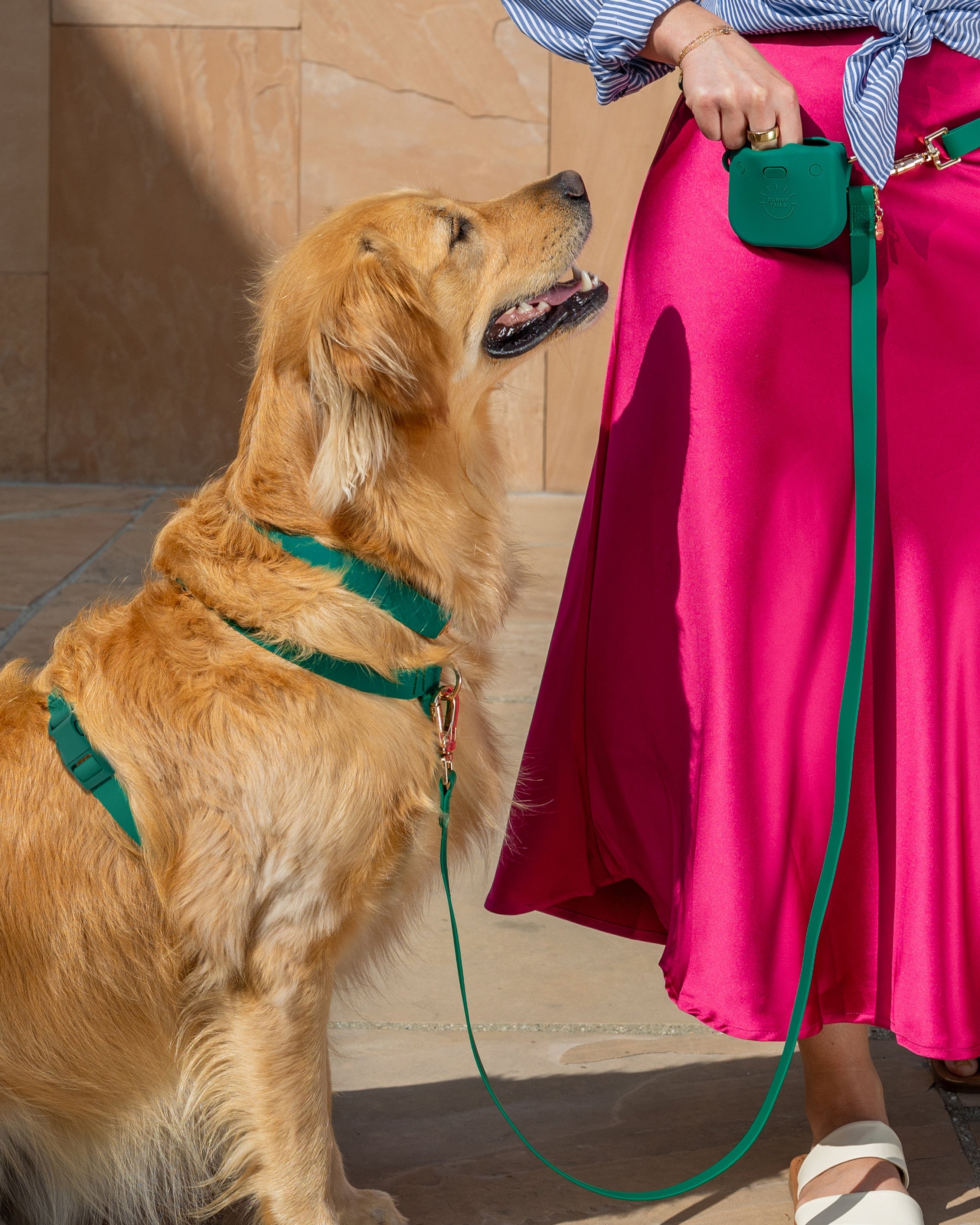 Meadow Green Waterproof Dog Collar