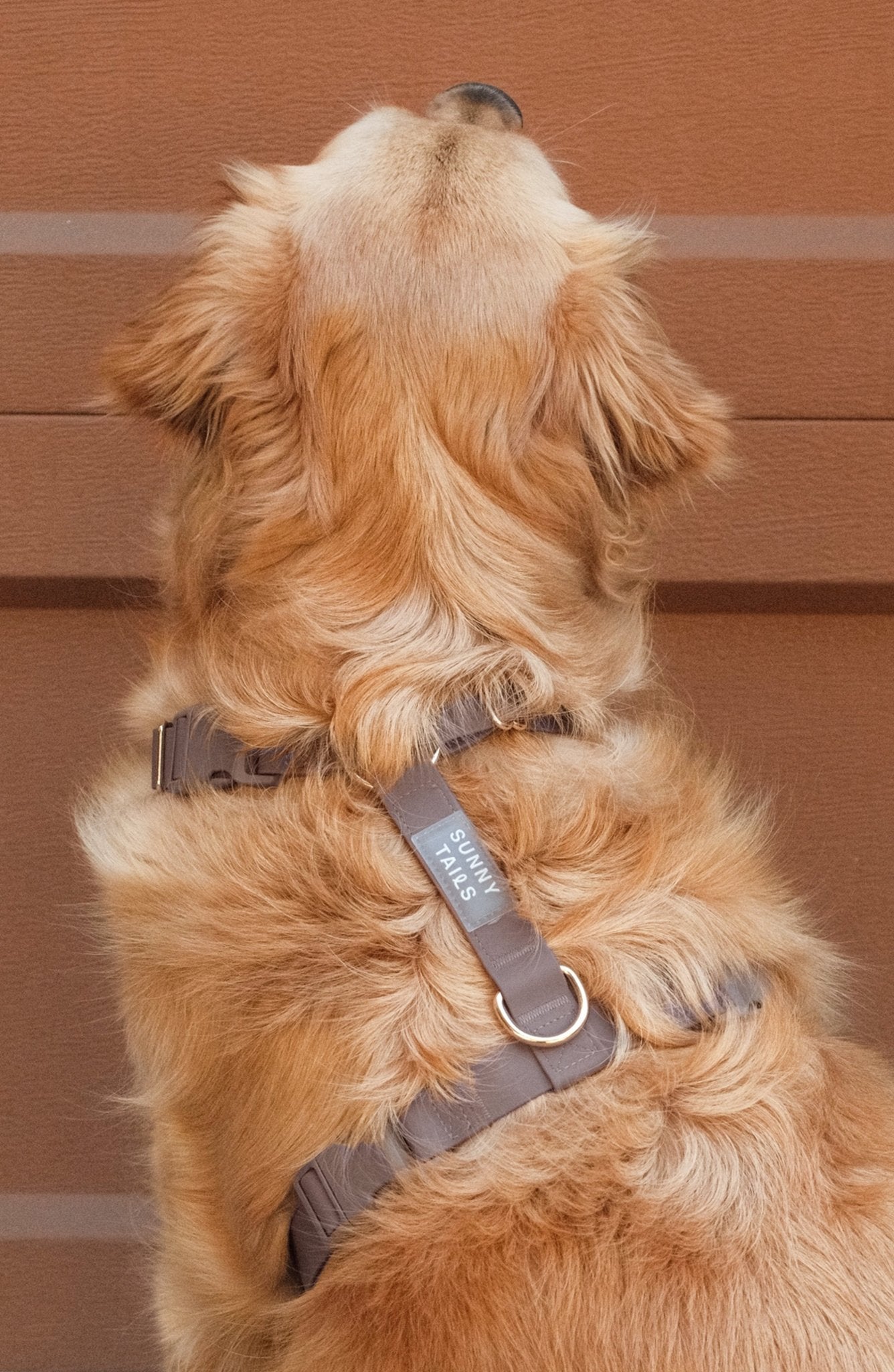 Espresso Brown Cloud Lite Dog Harness