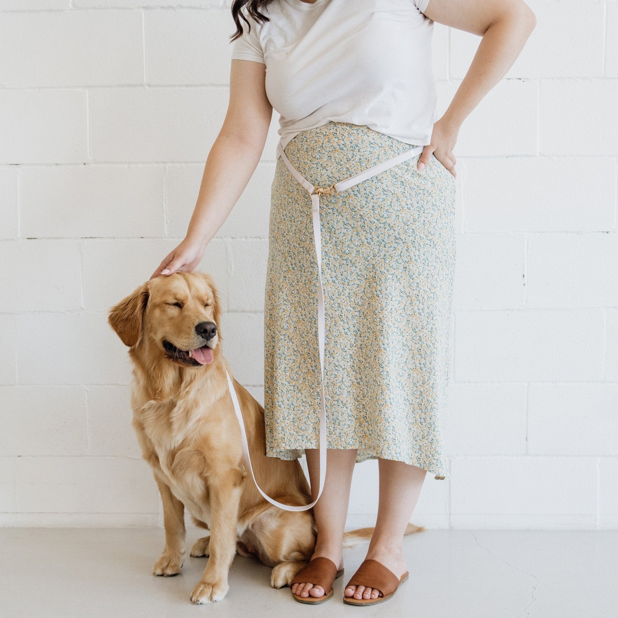 Lavender Haze 4-in-1 Convertible Hands Free Cloud Dog Leash