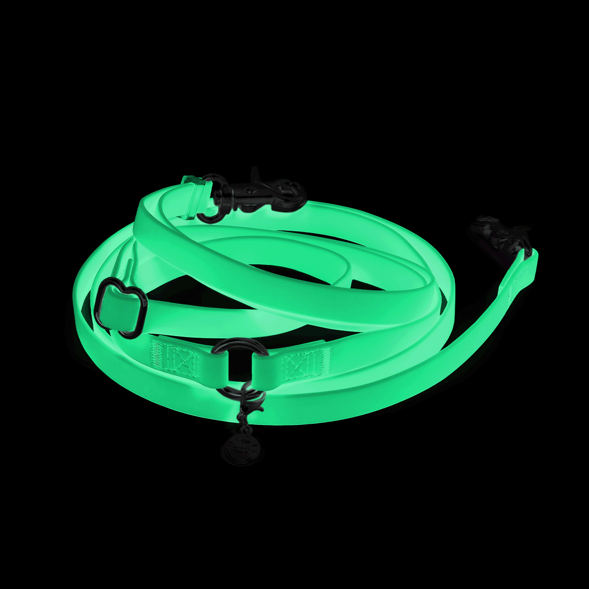 Lunar Glow 4-in-1 Convertible Hands Free Cloud Dog Leash