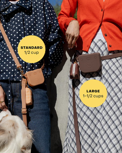 Chai Brown Snap Dog Treat Pouch